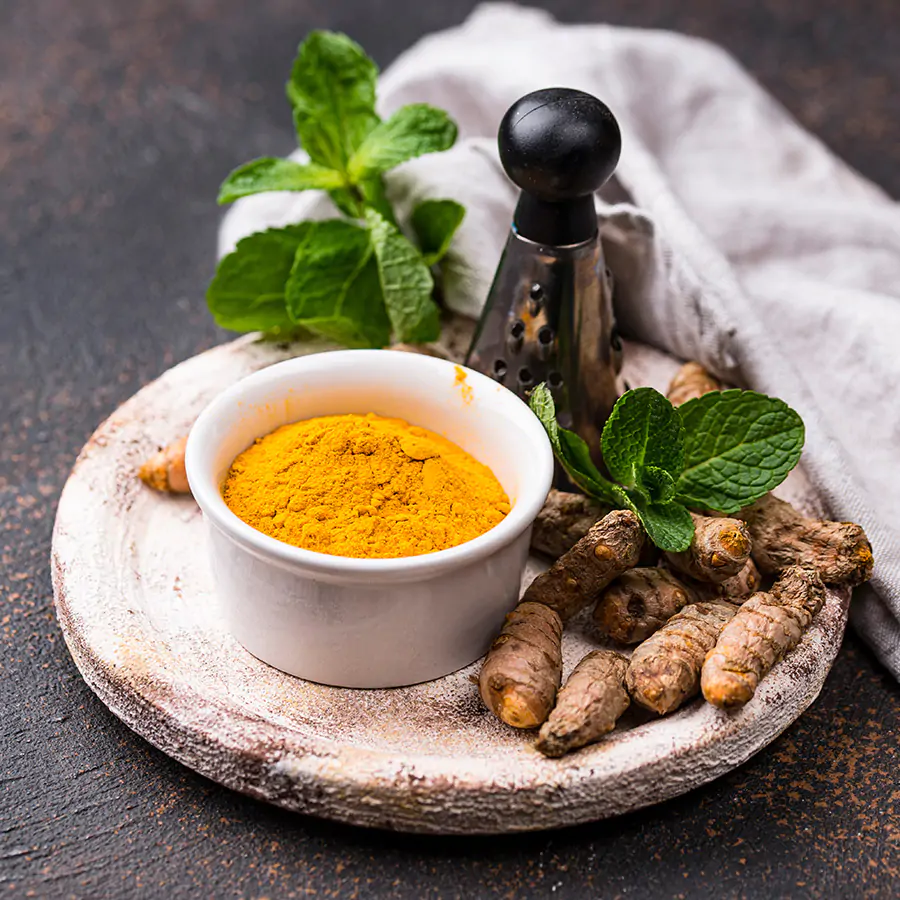 Ayurveda Herbs